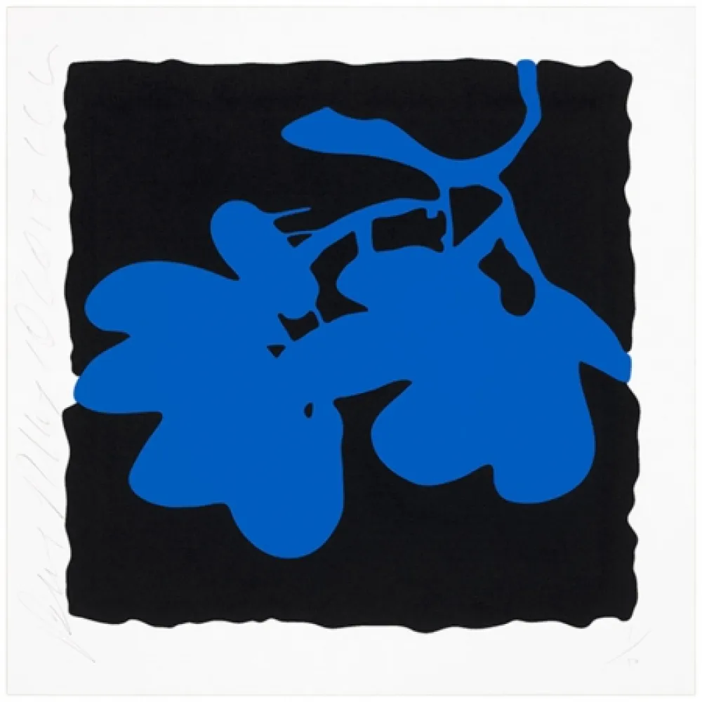 Screenprint Sultan - Blue, May 10, 2012