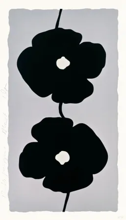 Multiple Sultan - Double Poppies Black