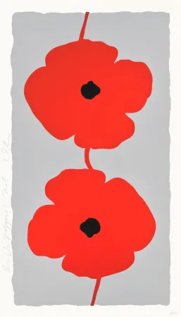 Multiple Sultan - Double Poppies Red