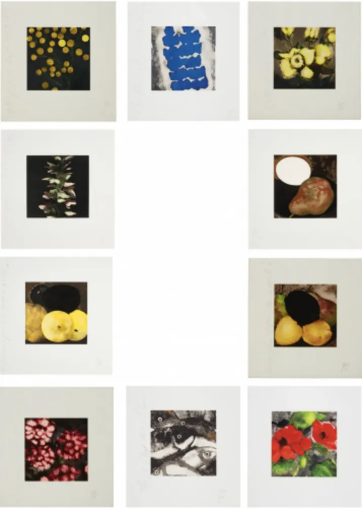 Screenprint Sultan - Fruit & Flowers
