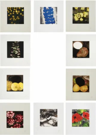 Screenprint Sultan - Fruit & Flowers