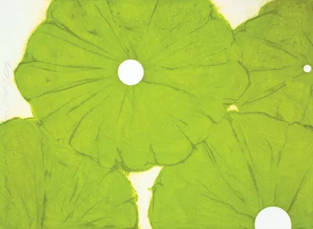 No Technical Sultan - Green Poppies