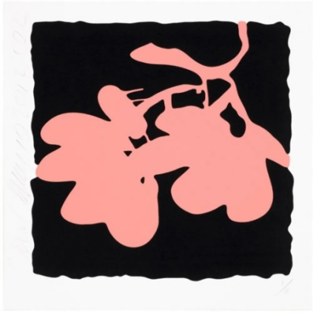 Screenprint Sultan - Lantern Flowers, May 10, 2012 (Coral)