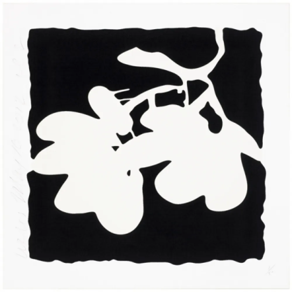 Screenprint Sultan - Lantern Flowers, May 10, 2012 (White)
