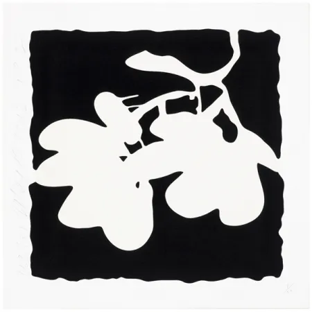 Screenprint Sultan - Lantern Flowers, May 10, 2012 (White)