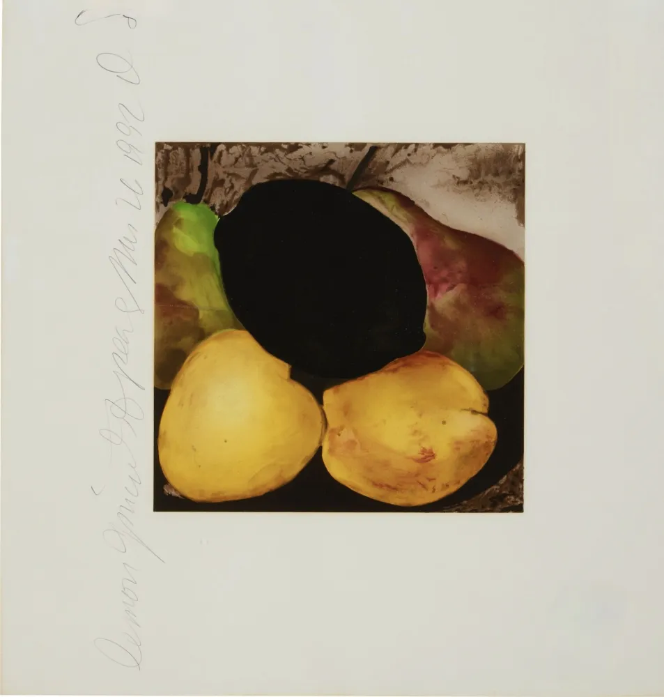 Screenprint Sultan - Lemon Juice and Pears from Fruits and Flowers