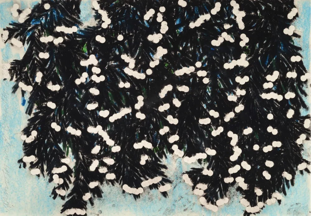 No Technical Sultan - Mimosa with Green