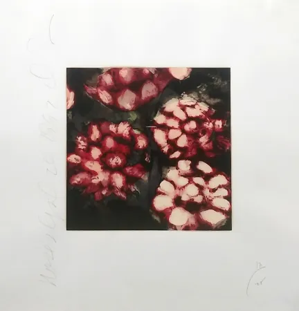 Screenprint Sultan - ROSES