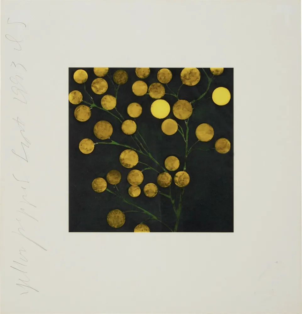 Screenprint Sultan - Yellow Peppers from Fruits and Flowers