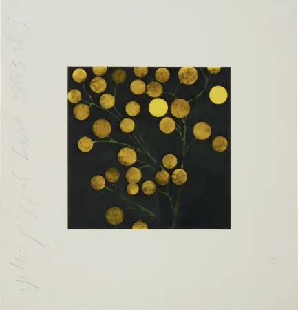 Screenprint Sultan - Yellow Peppers from Fruits and Flowers