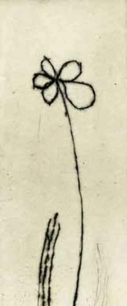 Engraving Tachibana  - TOT 48