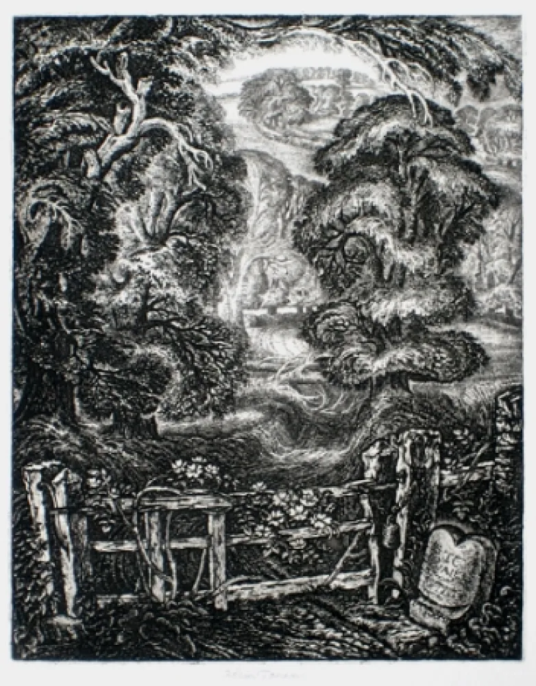 Etching Tanner - The Old Road:  Elegy for the English Elm I