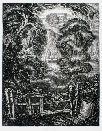 Etching Tanner - The Old Road:  Elegy for the English Elm I