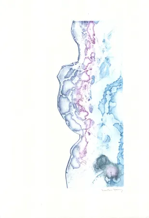 Etching And Aquatint Tanning - La marée