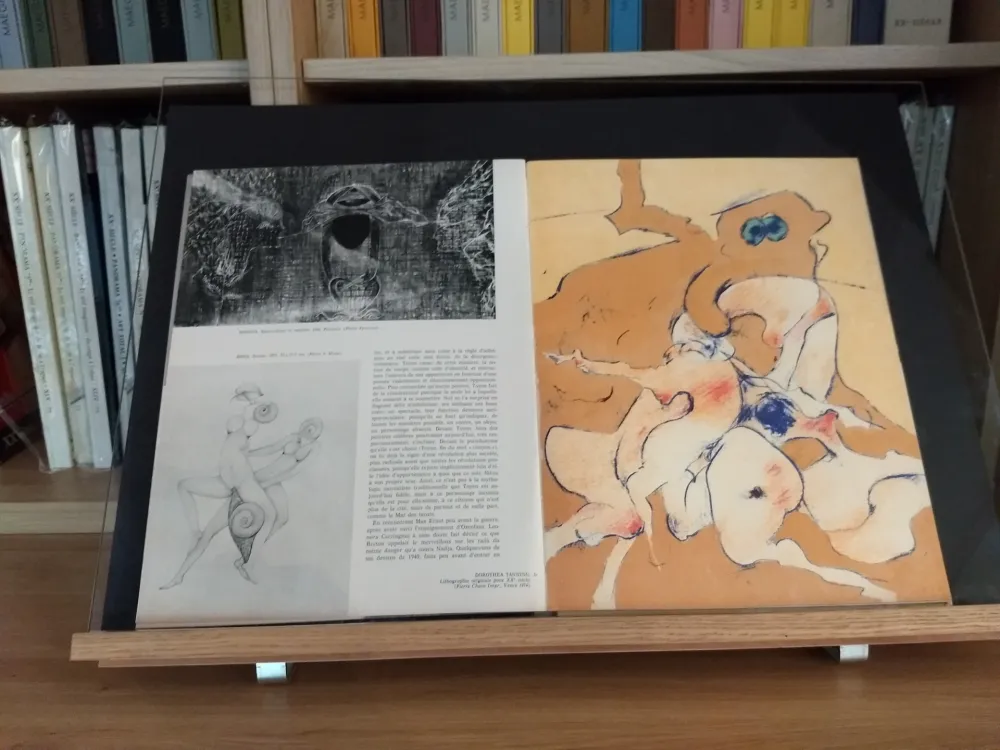 Illustrated Book Tanning - No 24