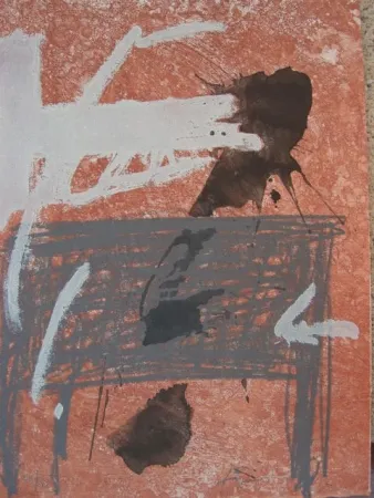 Engraving Tàpies - BOIS DES CERFS (Libro)