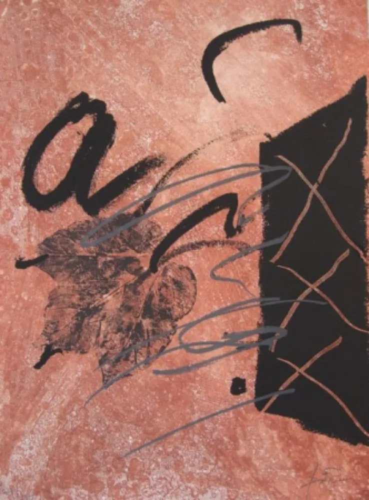 Engraving Tàpies - BOIS DES CERFS (Libro)