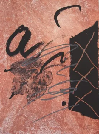 Engraving Tàpies - BOIS DES CERFS (Libro)