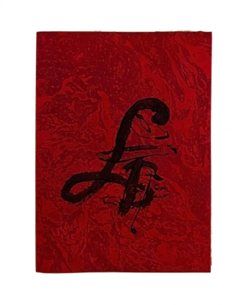 Illustrated Book Tàpies - Carrer de Wagner