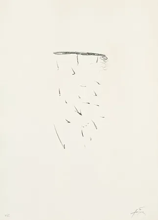 Lithograph Tàpies - Clau-11