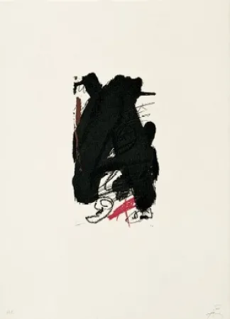 Lithograph Tàpies - Clau 6