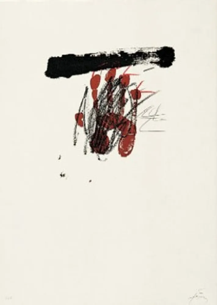 Lithograph Tàpies - Clau 9