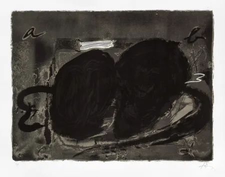 Lithograph Tàpies - Deux trous 