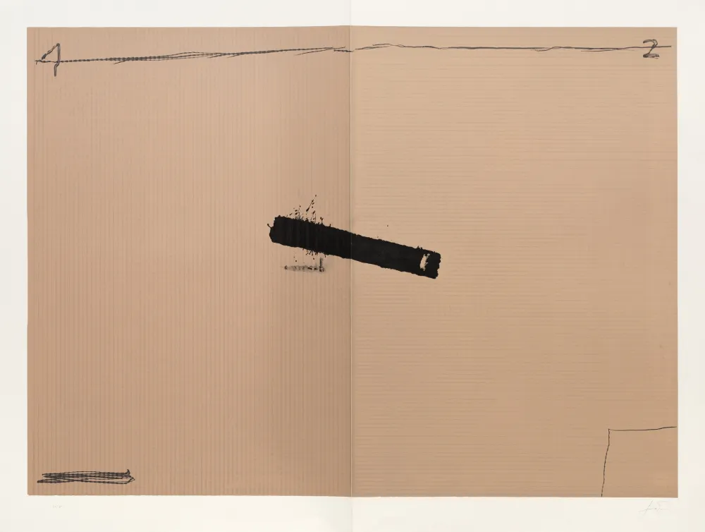Lithograph Tàpies - Deux volets