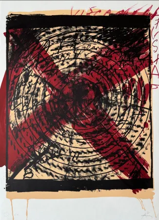 Lithograph Tàpies - Diana