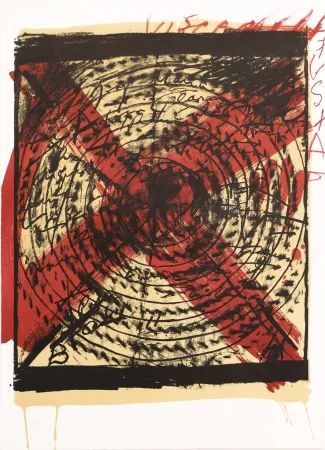 Lithograph Tàpies - Diana