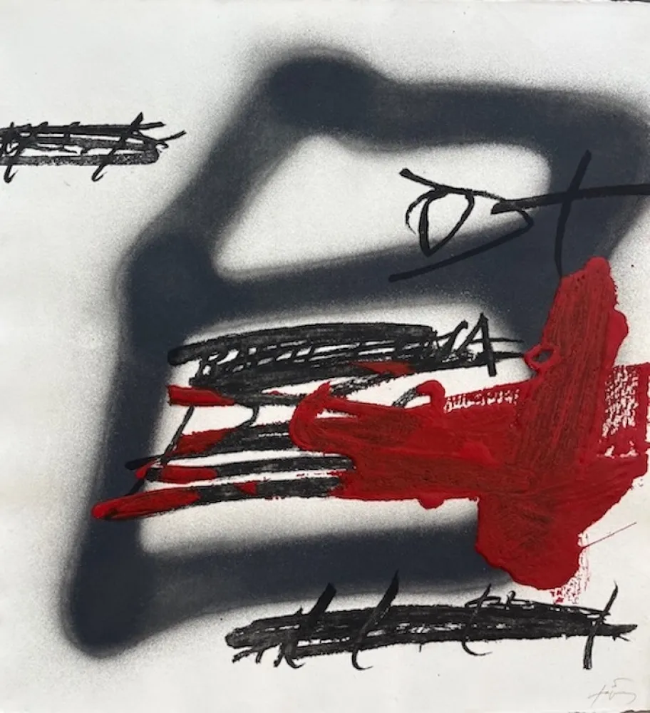 Etching And Aquatint Tàpies - Forma ombrejada