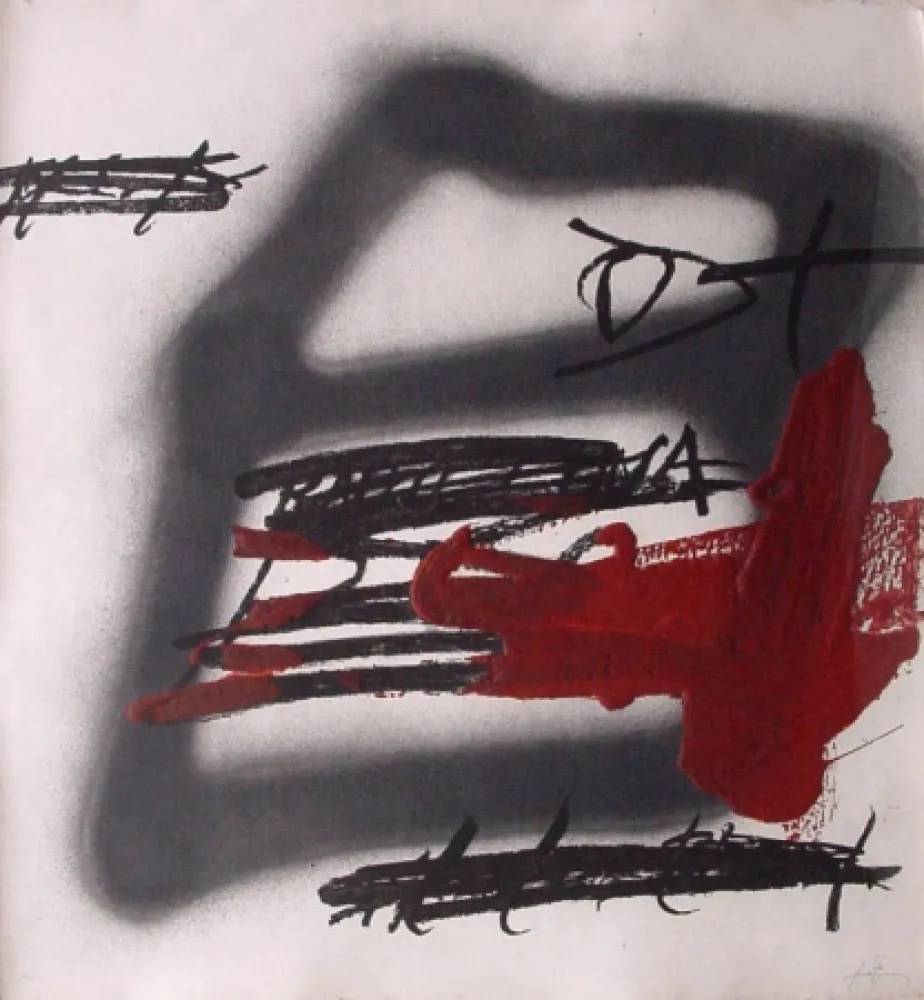 Engraving Tàpies - FORMA OMBREJADA