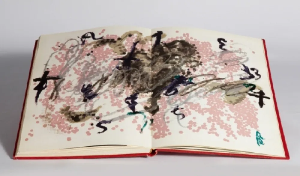 Illustrated Book Tàpies - Fregolí 