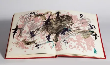 Illustrated Book Tàpies - Fregolí 