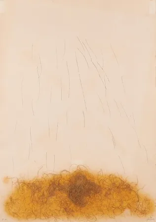 Engraving Tàpies - LE CRIN