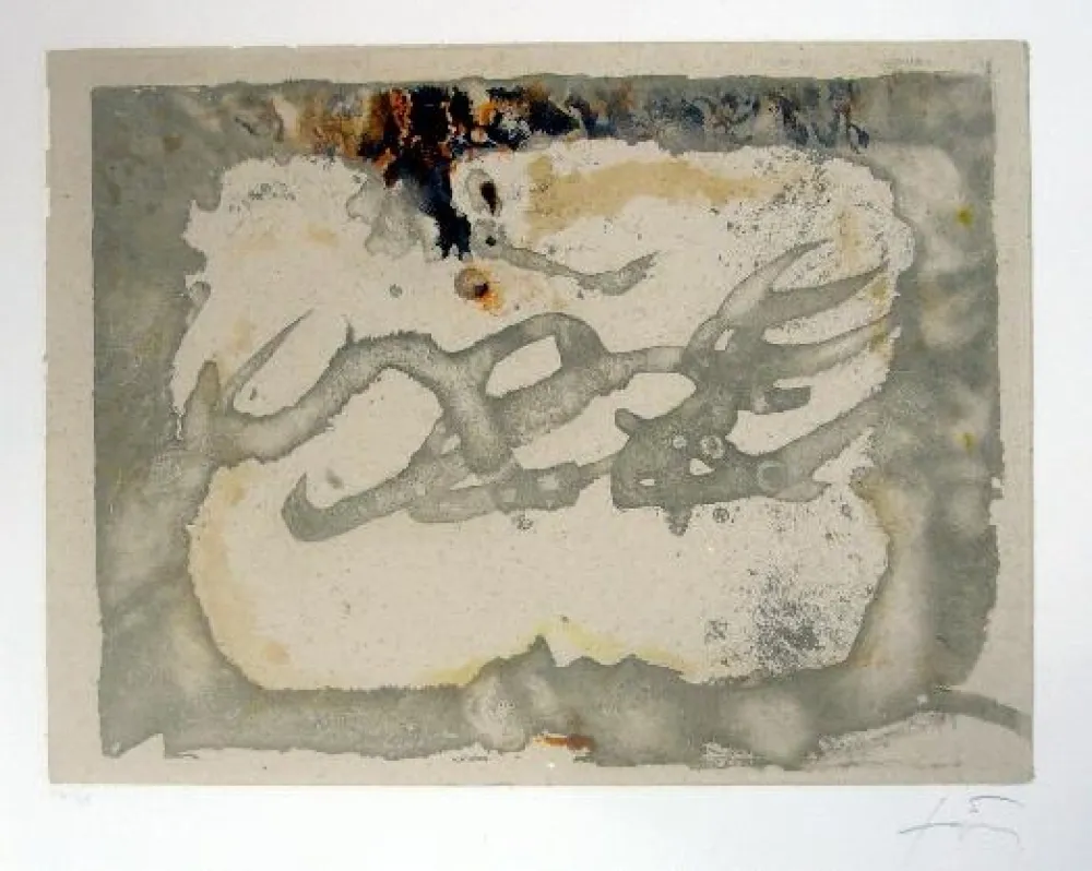 Etching And Aquatint Tàpies - Muntanyes