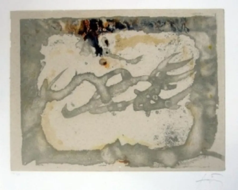 Etching And Aquatint Tàpies - Muntanyes