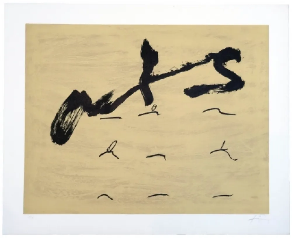 Lithograph Tàpies - Neuf tirets