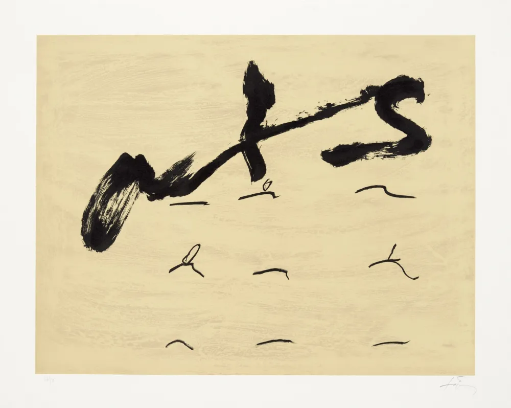 Lithograph Tàpies - Neuf tirets