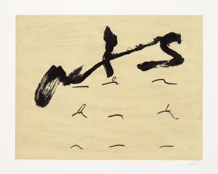 Lithograph Tàpies - Neuf tirets
