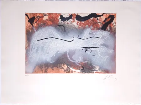 Etching And Aquatint Tàpies - Sans Titre