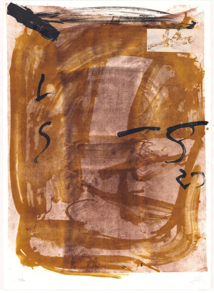Lithograph Tàpies - Variations
