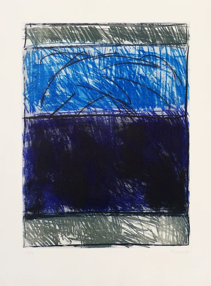 Drypoint Teixidor - La Noche