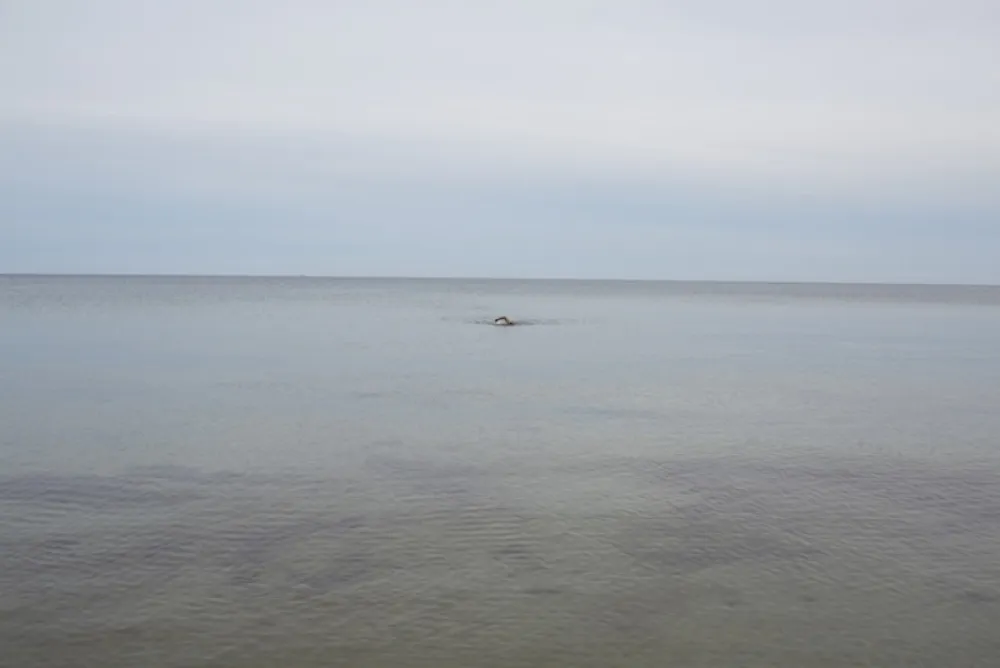 No Technical Teller - Swimming, Glemmingebro, Sweden 2015