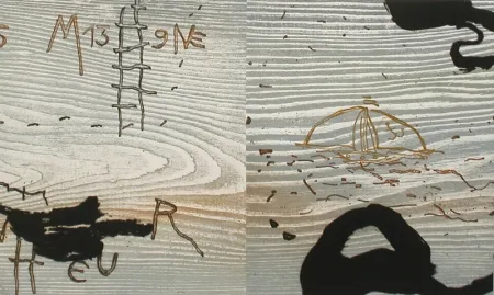 Illustrated Book Texier - Ex-voto