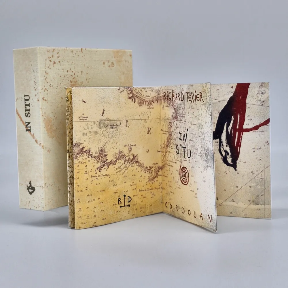 Illustrated Book Texier - In situ