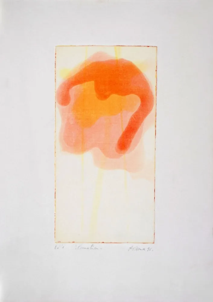 Etching And Aquatint Thoma - Formation