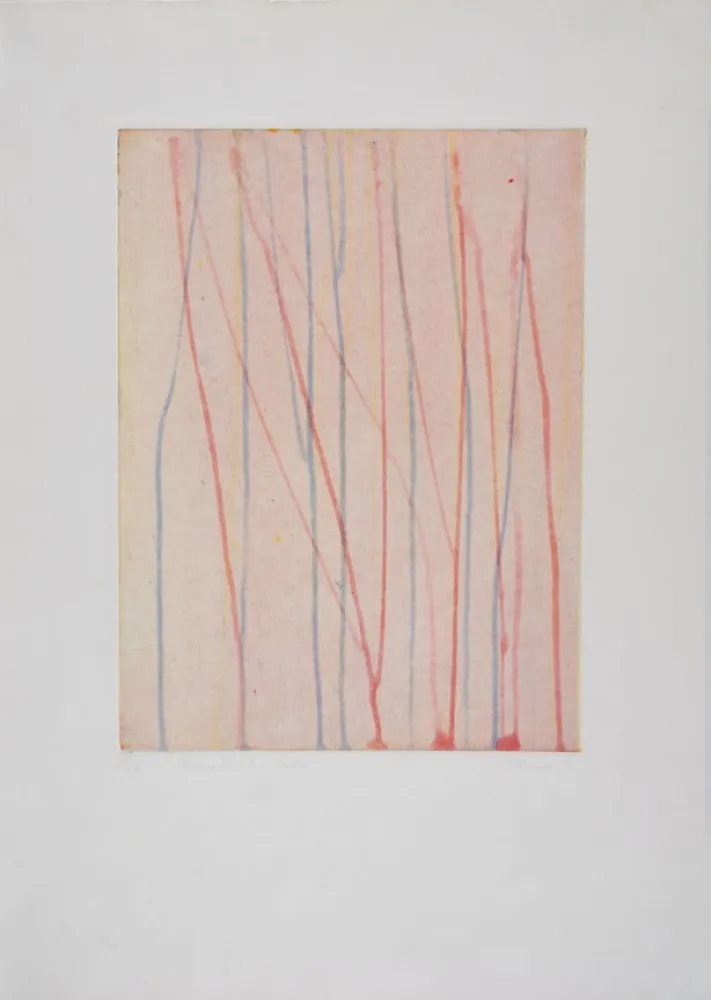 Etching And Aquatint Thoma - 