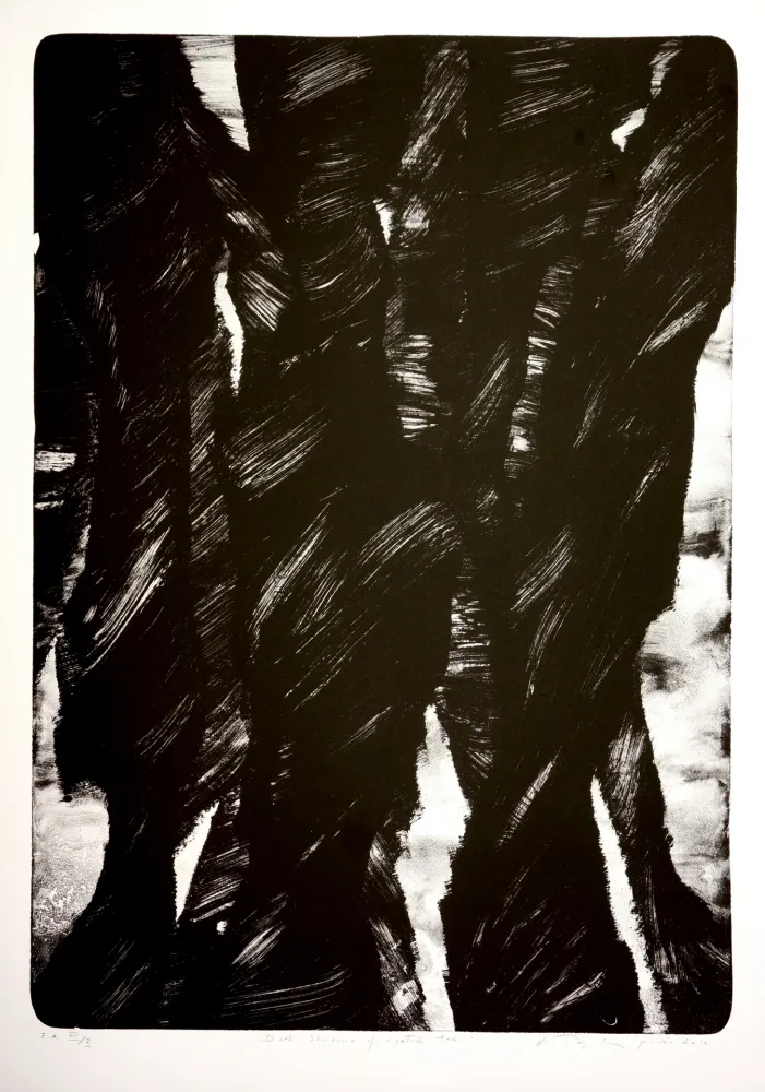 Lithograph Tøjner - Dark shadows of central park