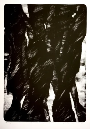 Lithograph Tøjner - Dark shadows of central park